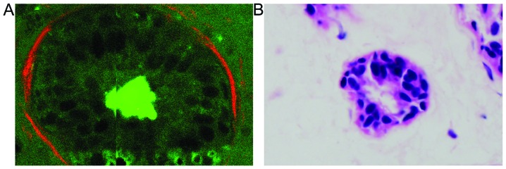 Figure 4.