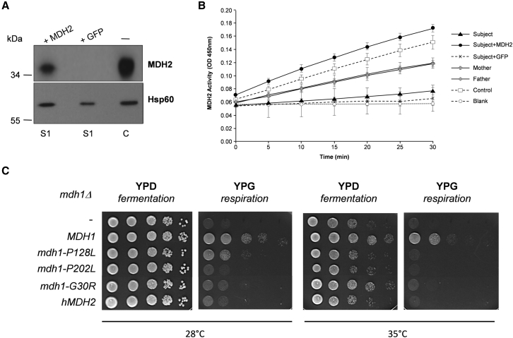 Figure 3