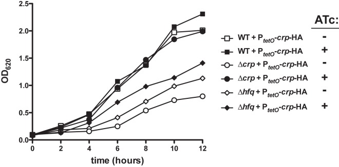 FIG 6 