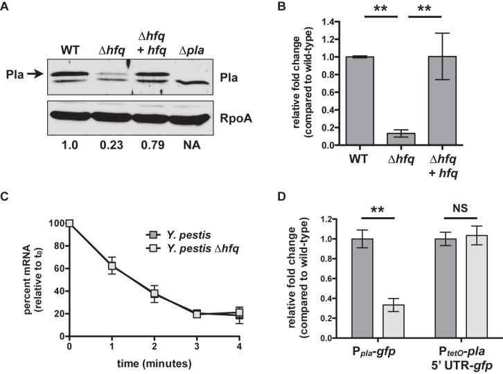 FIG 3 