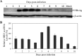 FIG 6