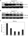 FIG 1