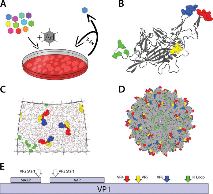 FIG 2