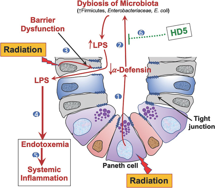 Figure 7