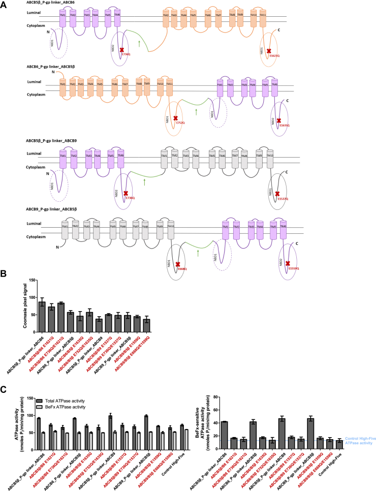 Figure 7