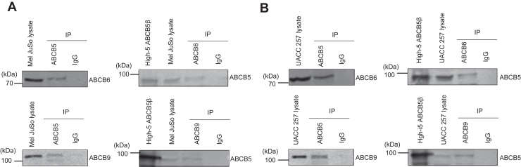 Figure 3