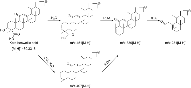 Fig. 5