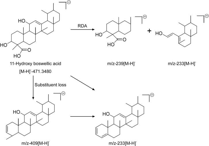 Fig. 6