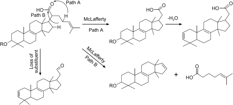 Fig. 4