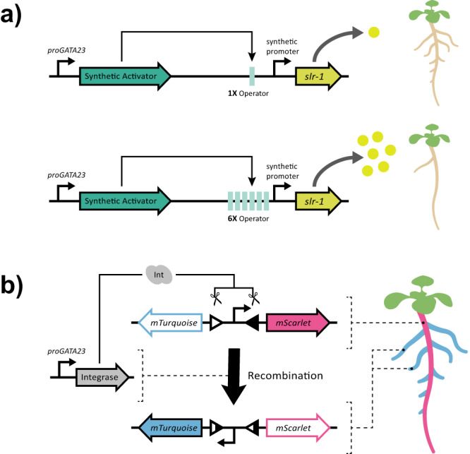 Fig. 2