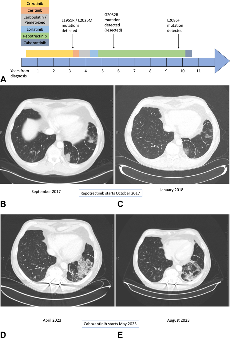 Figure 1