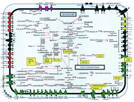 FIG.2.