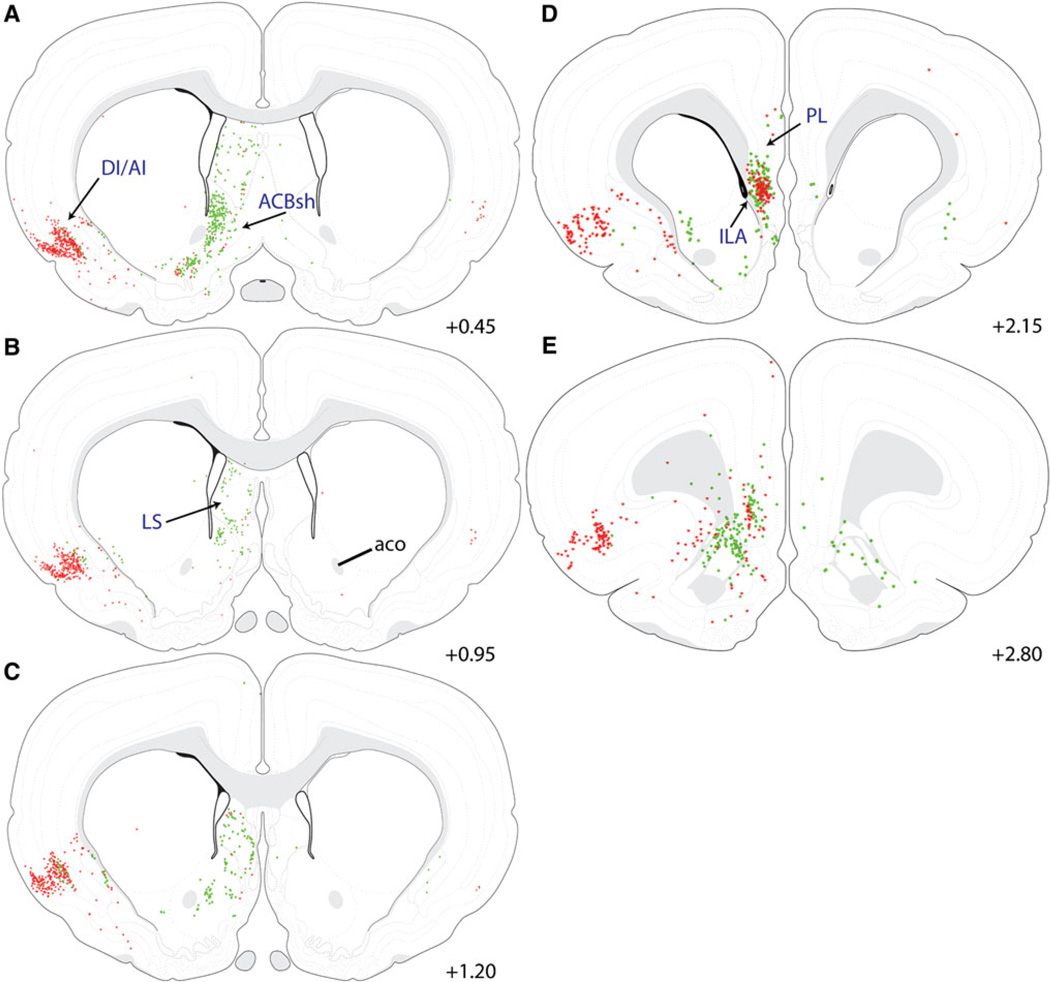 Fig. 11