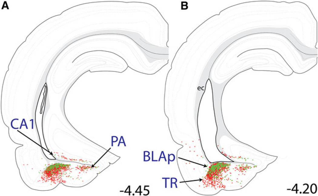 Fig. 12