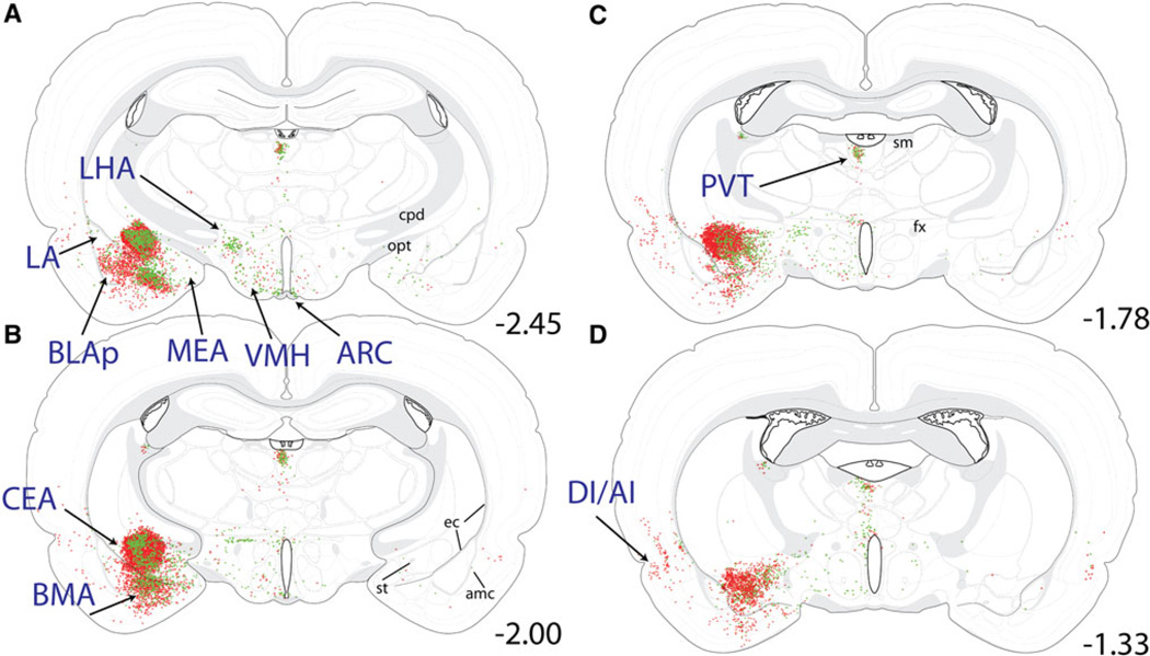 Fig. 8