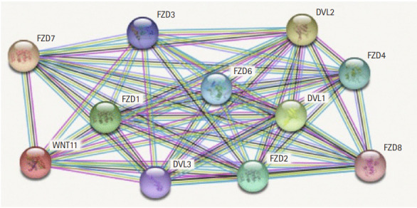 Fig. 2.