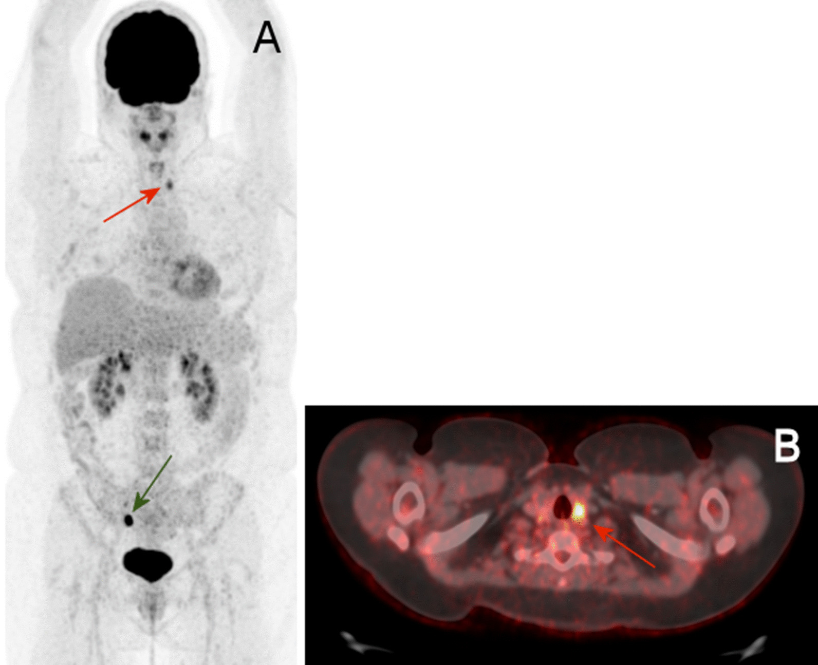 Fig. 4