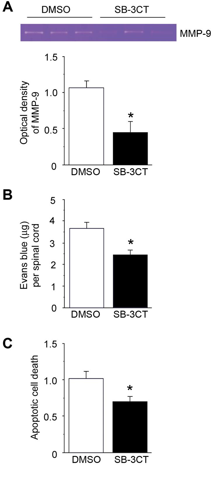 FIG. 8