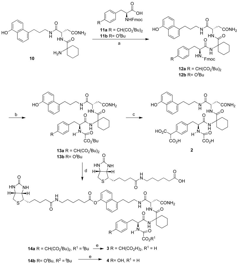 Scheme 2