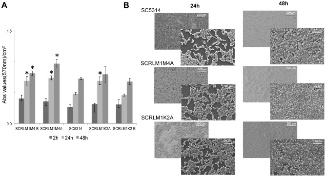 Figure 4