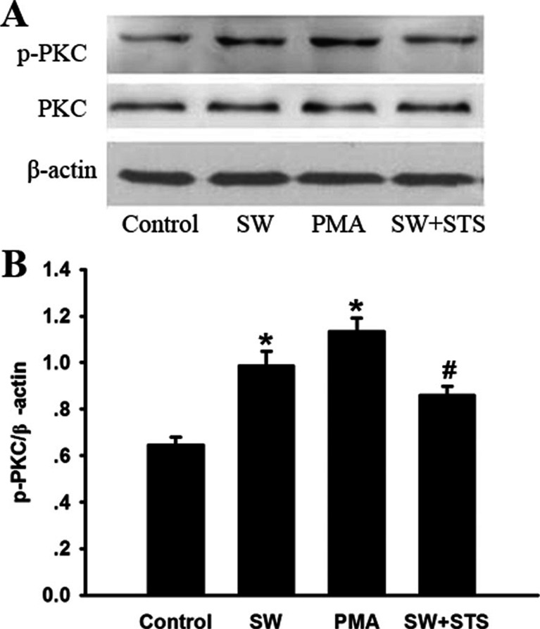 Fig. 5