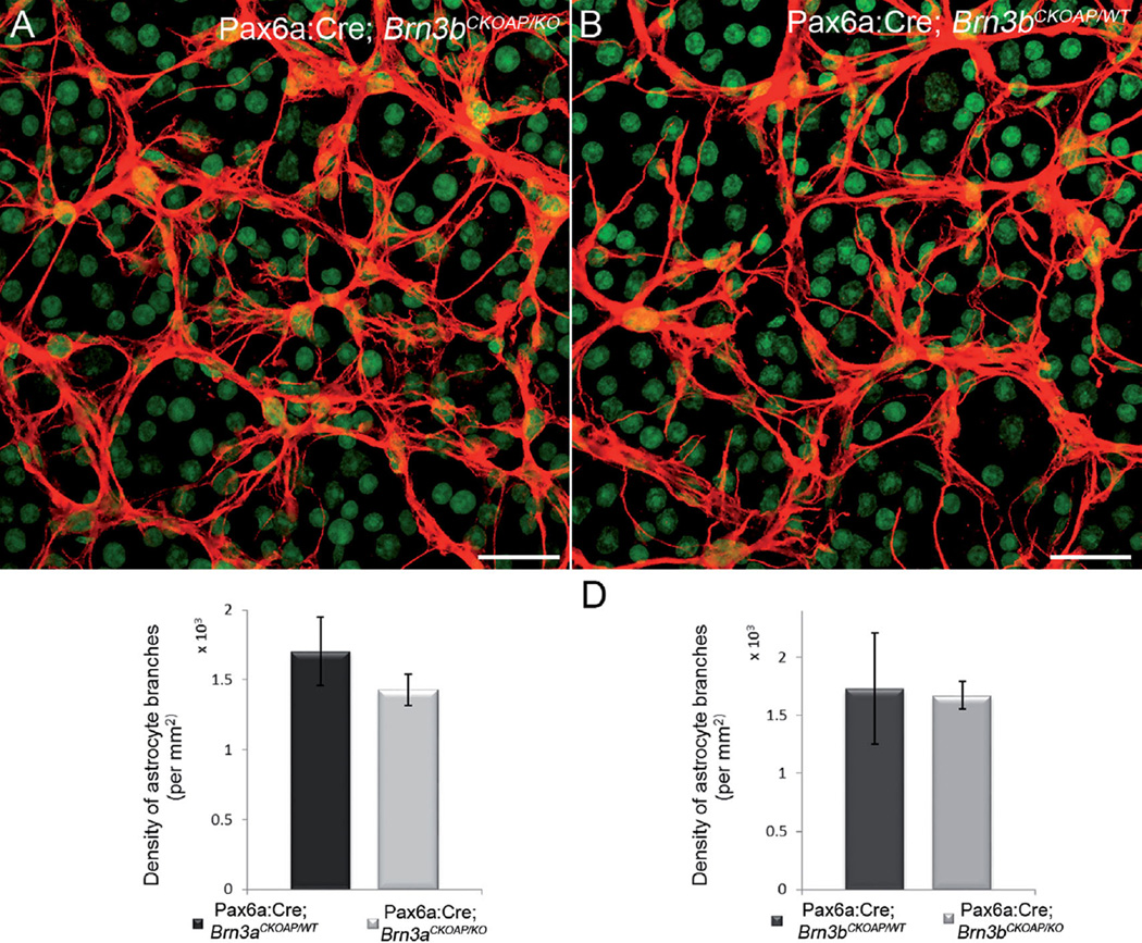 Figure 15