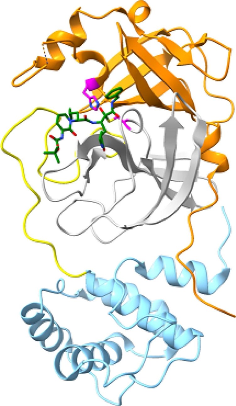 Fig. 1