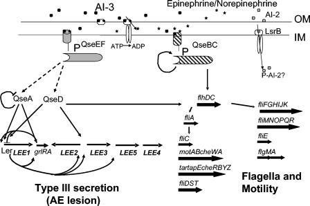 FIG. 2.