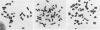 <b>Figure 3</b>