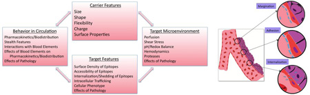 graphic file with name nihms737581f7.jpg