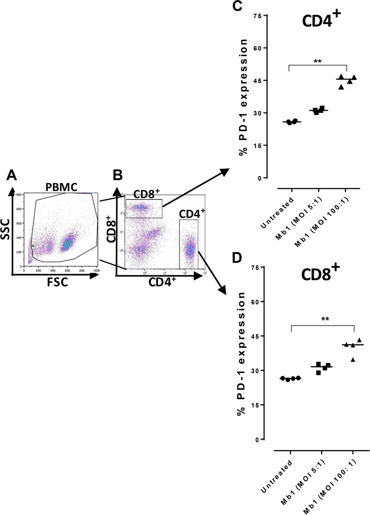 FIG 4