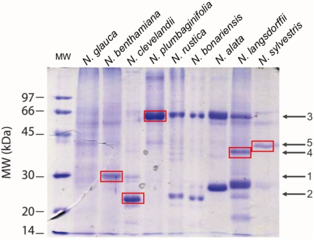 FIGURE 5