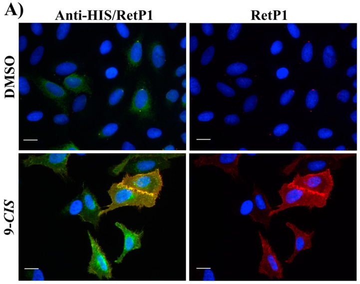 Figure 16