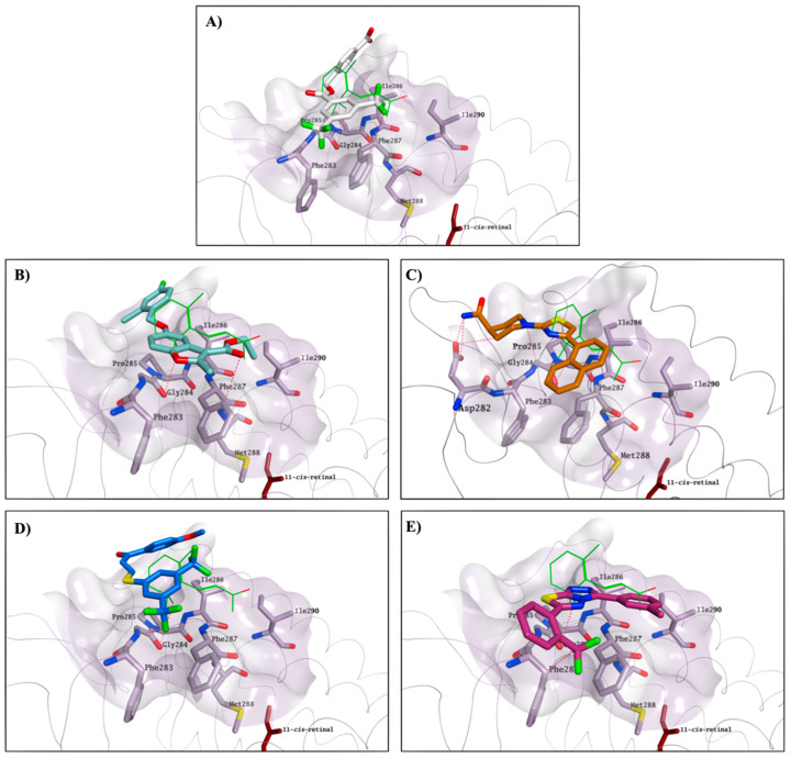 Figure 12