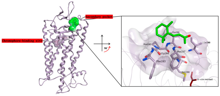 Figure 11