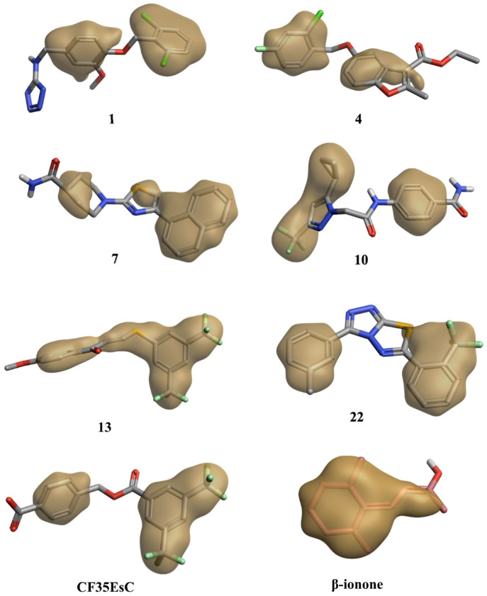 Figure 13