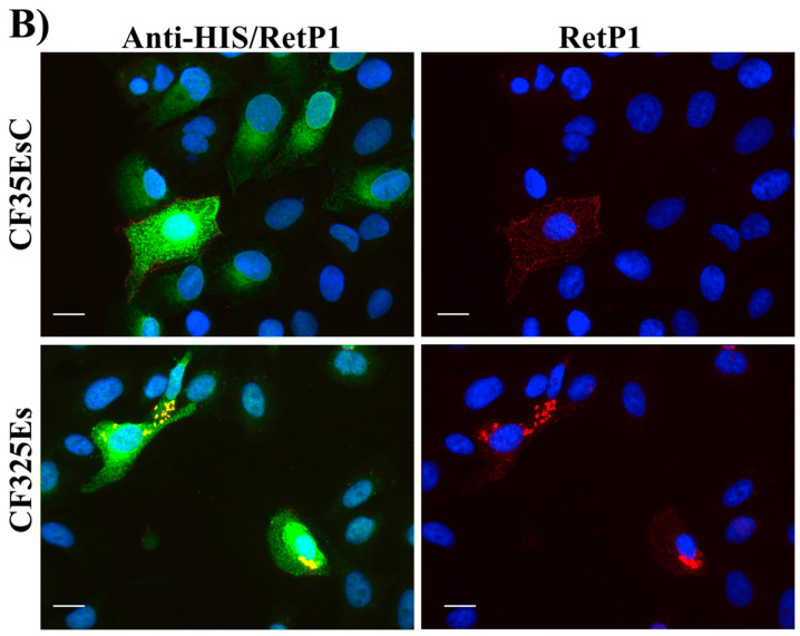 Figure 16