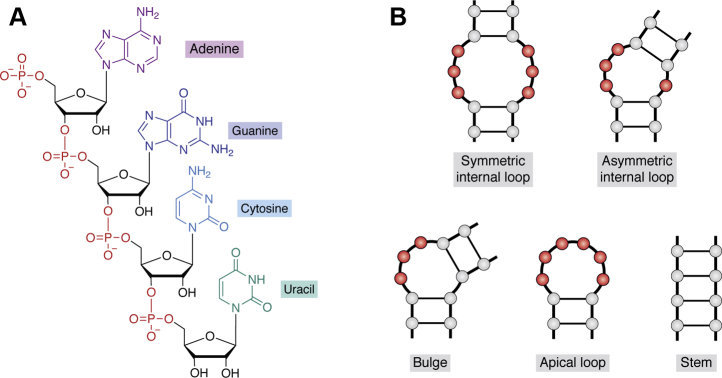 Figure 1