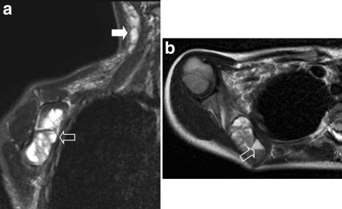 Fig. 7