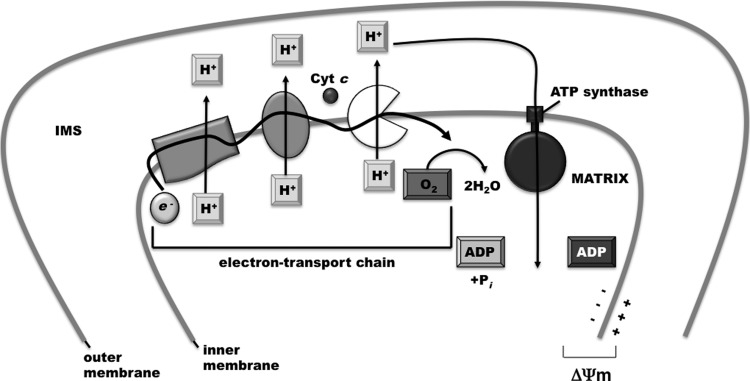 FIG. 6.