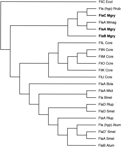 FIG. 2.