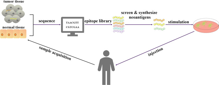 Figure 2