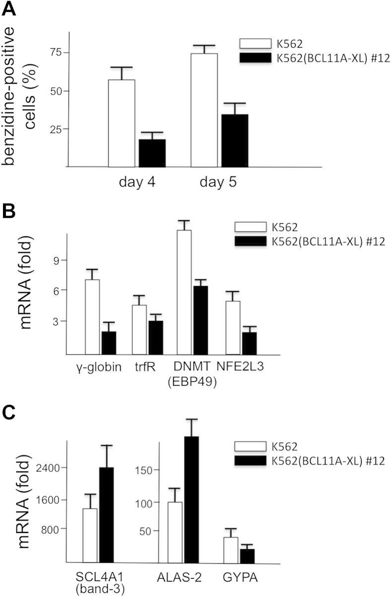 Figure 5