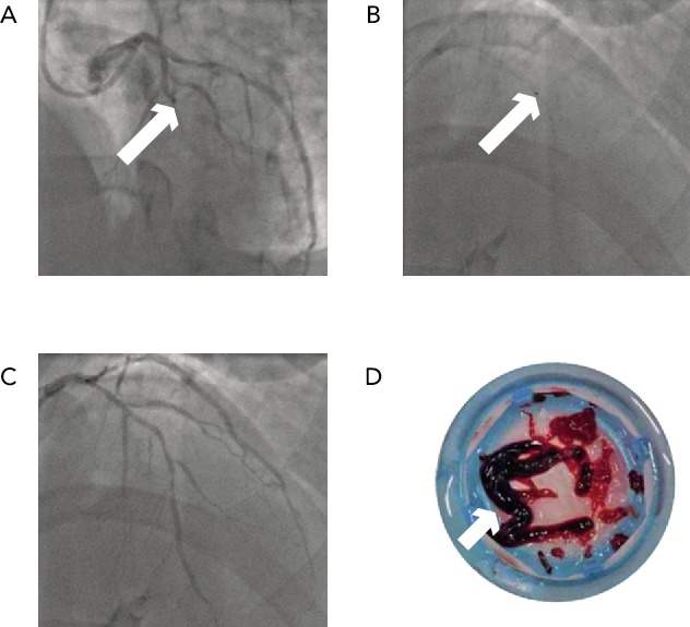 Figure 1: