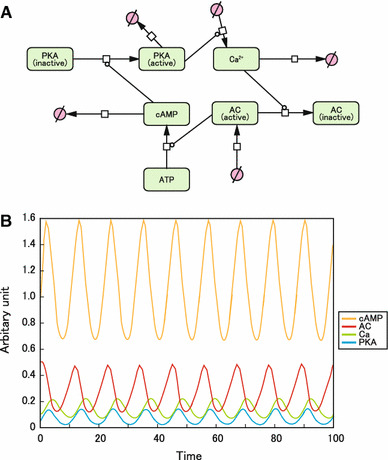 Fig. 1