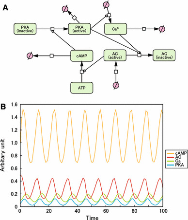 Fig. 3