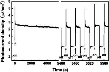 Fig. 11