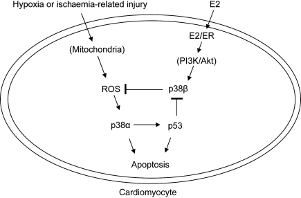 Figure 6