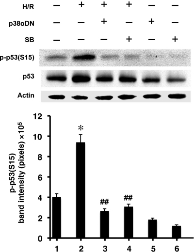 Figure 2