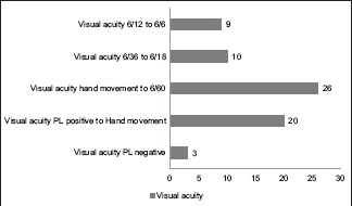 Graph 2